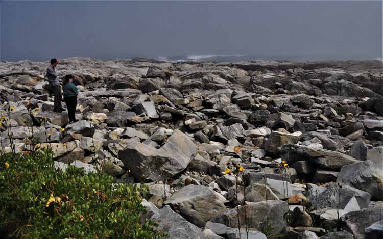 rocky shore